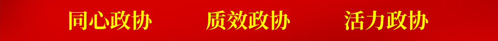 同心政协  质效政协 活力政协