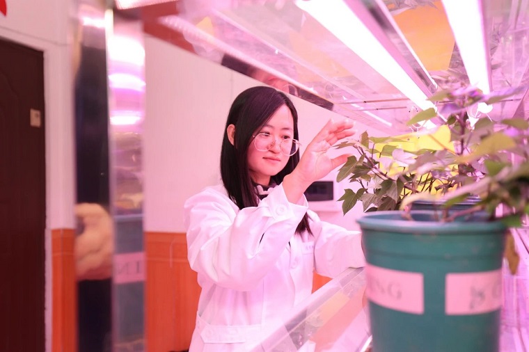 委员讲故事 | 刘莉莎：把“委员作业”写在田间地头